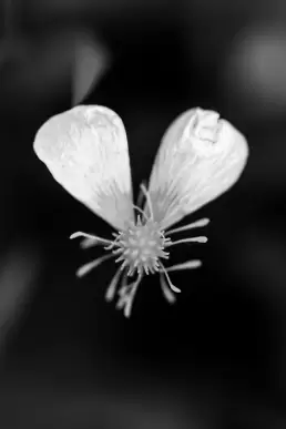 AKennedy_A7403513-Enhanced-NR-Edit